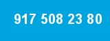 917 508 23 80 917 508 23 80